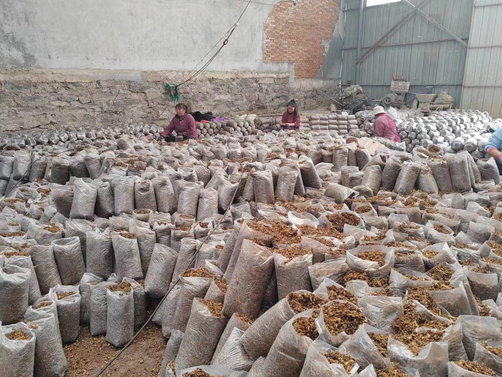 乡村振兴之产业篇,乡村振兴产业调研宣传报道