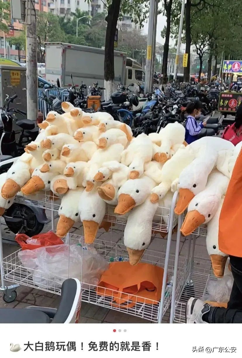 扫码免费领，谁能拒绝一只“大鹅”呢？