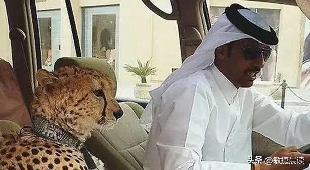 迪拜富人到底有多奢华,迪拜王子和世界首富到底谁更富