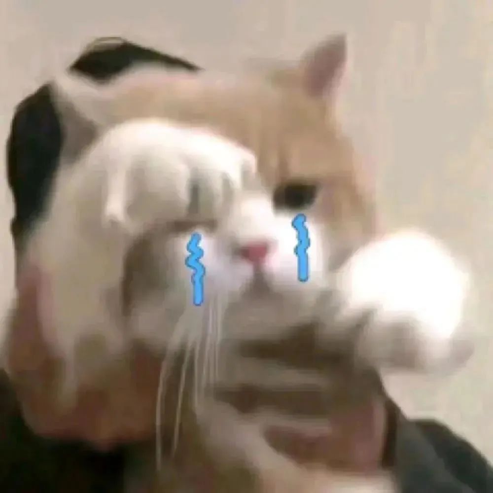 可算离了，这声恭喜美女摆脱酗酒男终于能说出口了