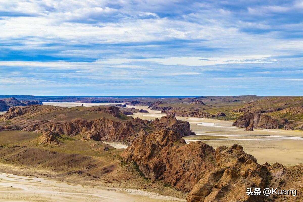 达尔文的经典小故事650字,达尔文小故事100个