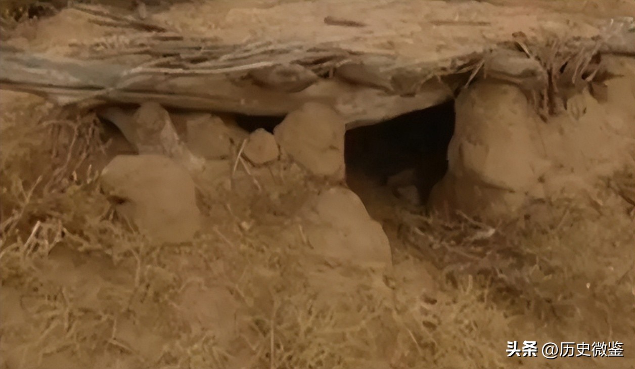 19岁女孩被迫嫁到荒漠,19岁女孩被迫嫁到荒漠下集