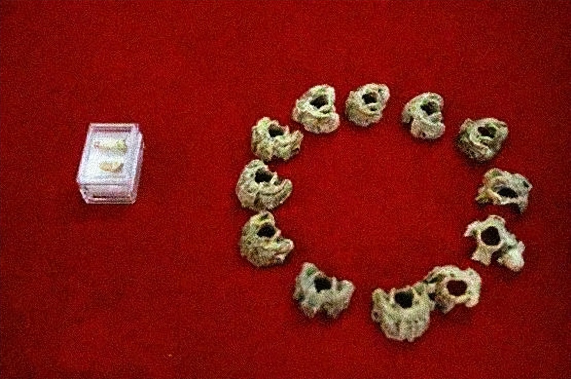 那年那兔那些年的故事,那年那兔那些事儿百年风云