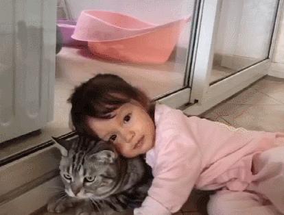 猫治百病是真的吗,猫治百病2