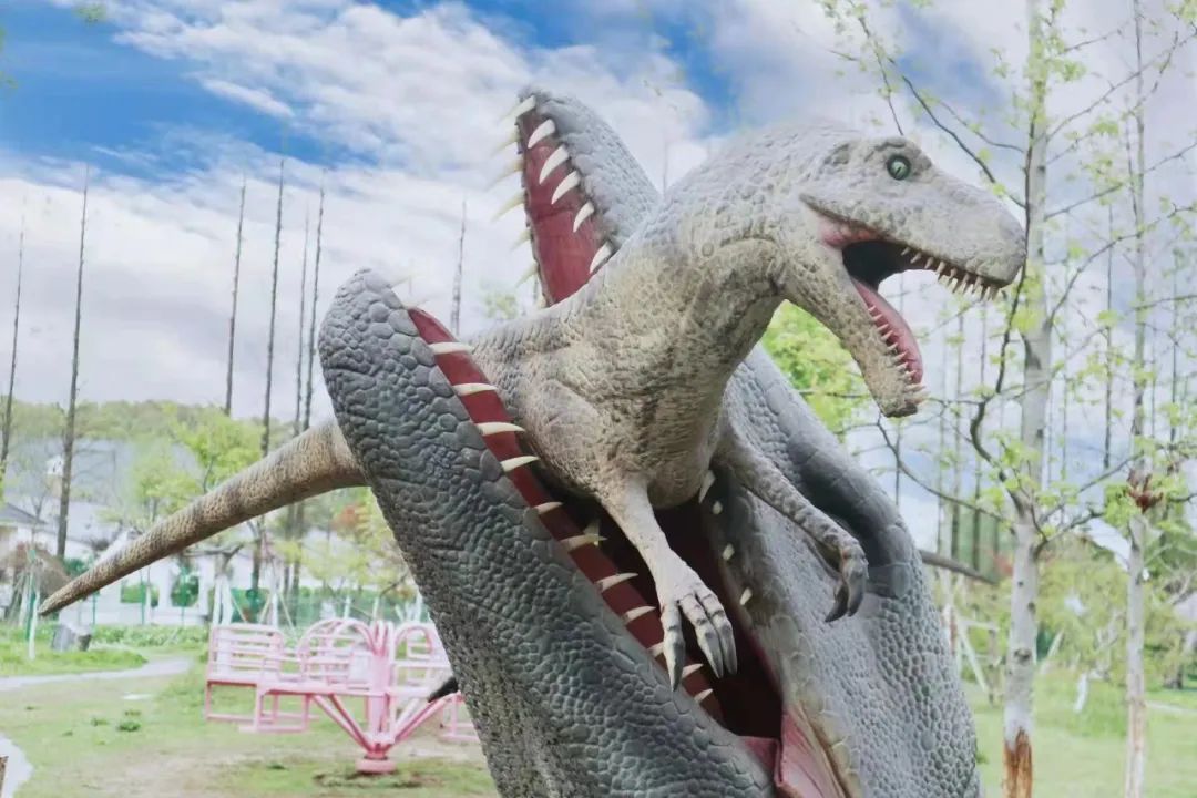 香草伊甸园景区最佳花开期,转发此文