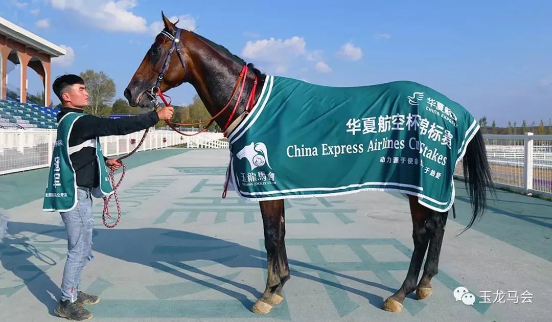 原来，茅台、TCL、三一重工……早成了国外赛马的“资深玩家”