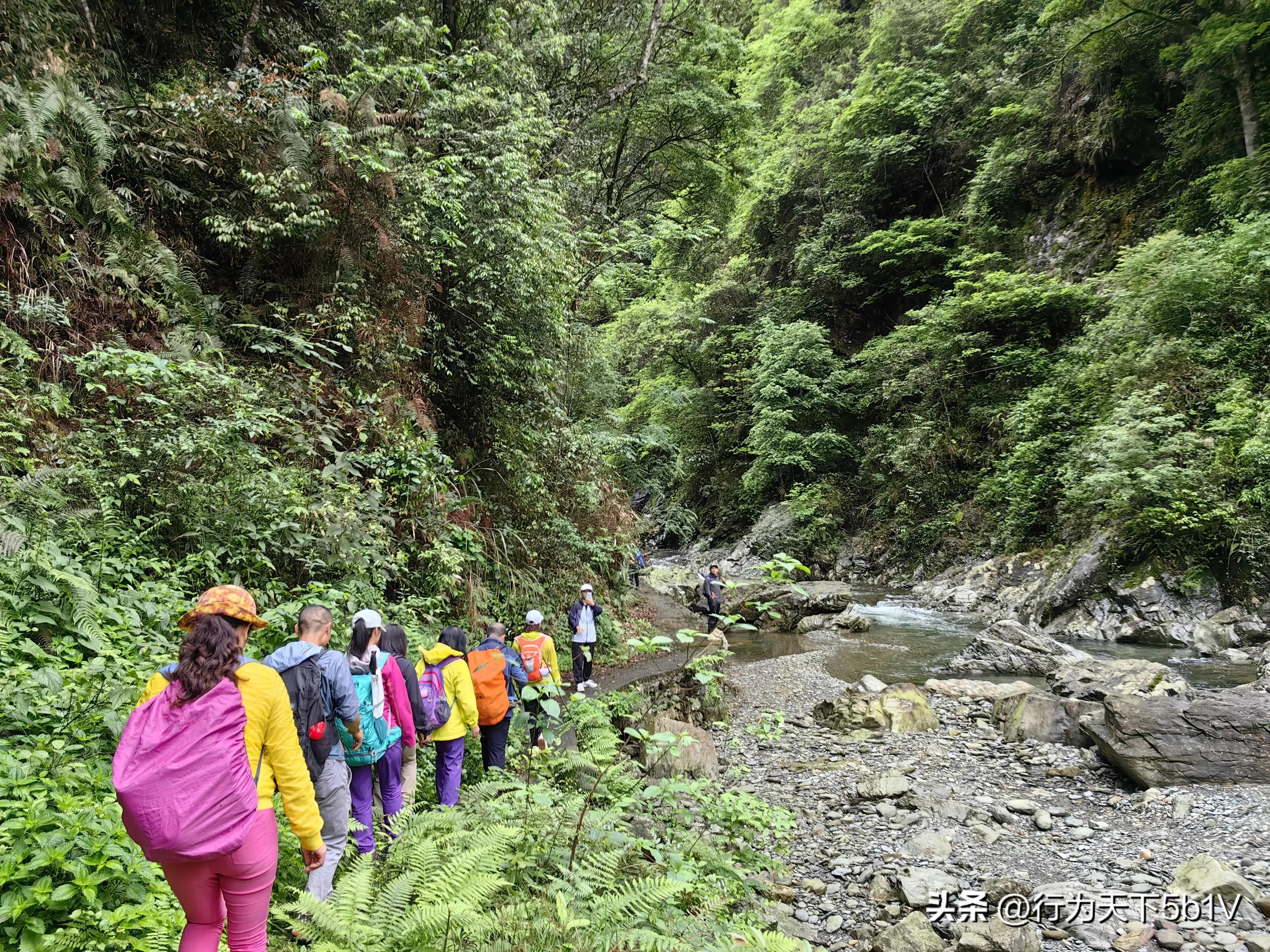 【探秘宛田红滩瀑布溯溪梦江吉翁瀑布】穿越花坪神秘风景线