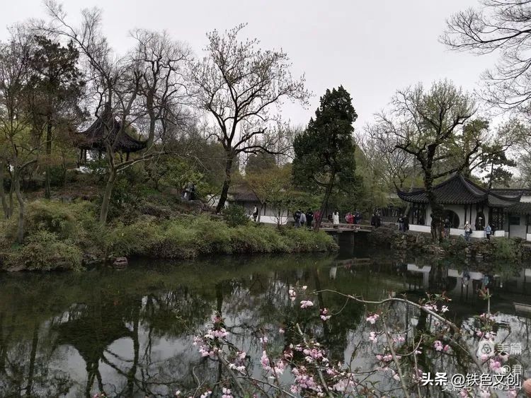 苏州游记之拙政园,苏州拙政园一日游攻略图片