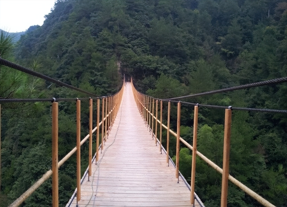 浙江最长的飞龙栈道,浙江水上栈道