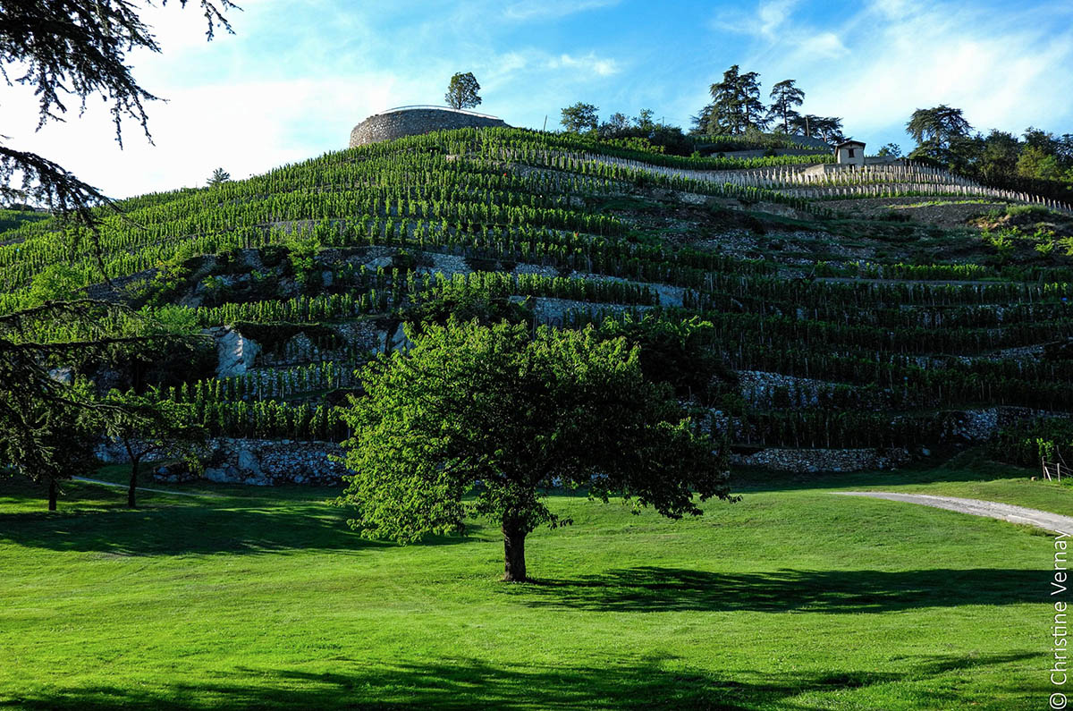 法国罗纳河谷葡萄酒,法国列级酒庄红酒推荐