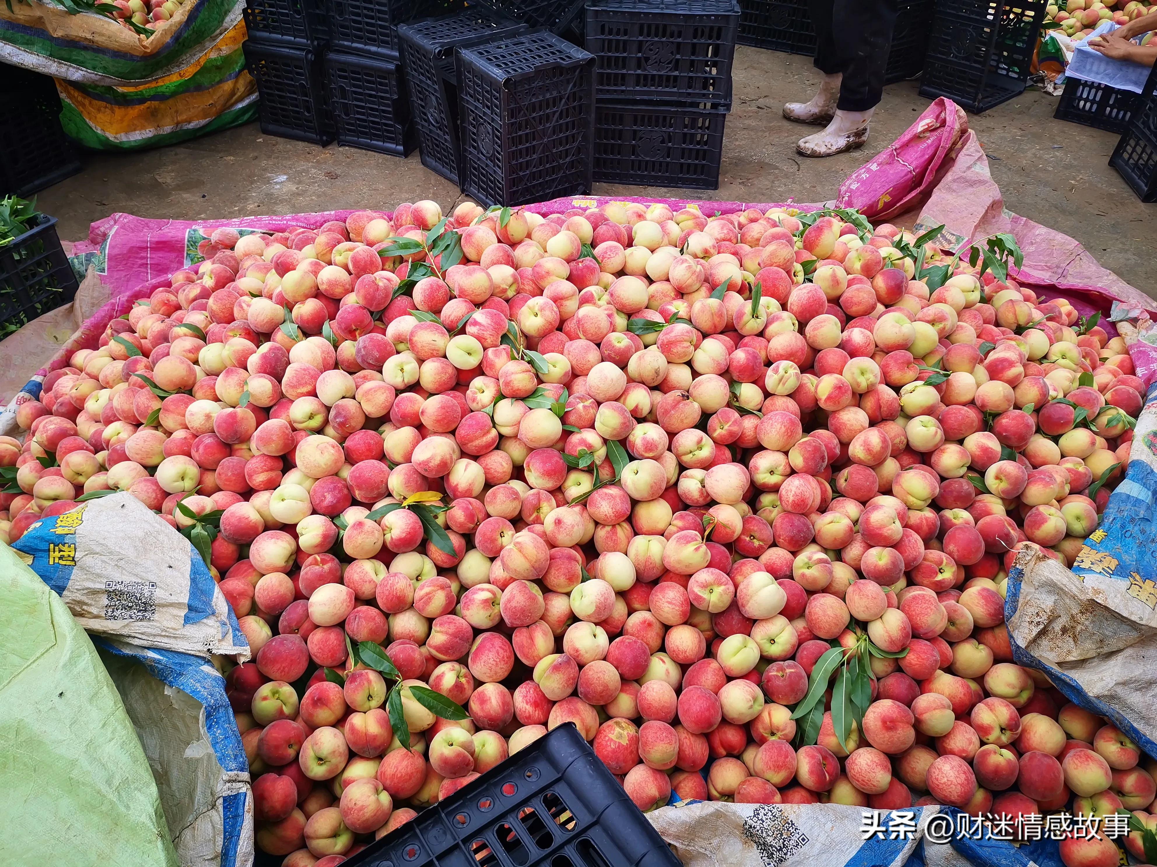 零投资快速赚钱方法,零投资的赚钱方法哪里有