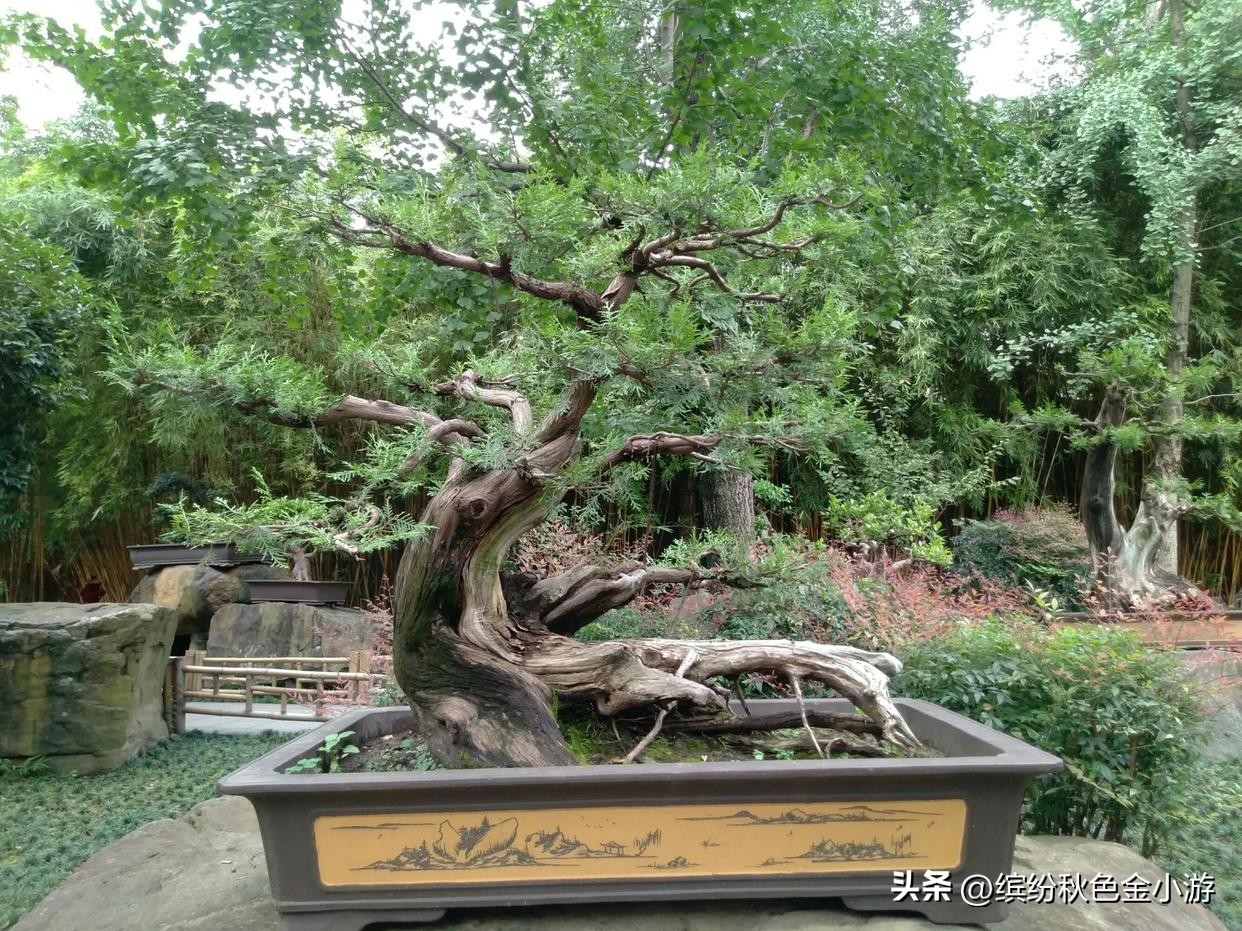 南阳武侯祠探访三国故地,武侯祠是介绍三国的吗