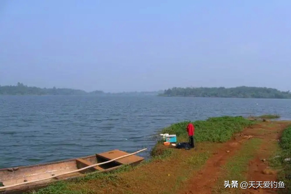 什么天气鱼比较活跃好钓,夏季什么风向鱼最难钓