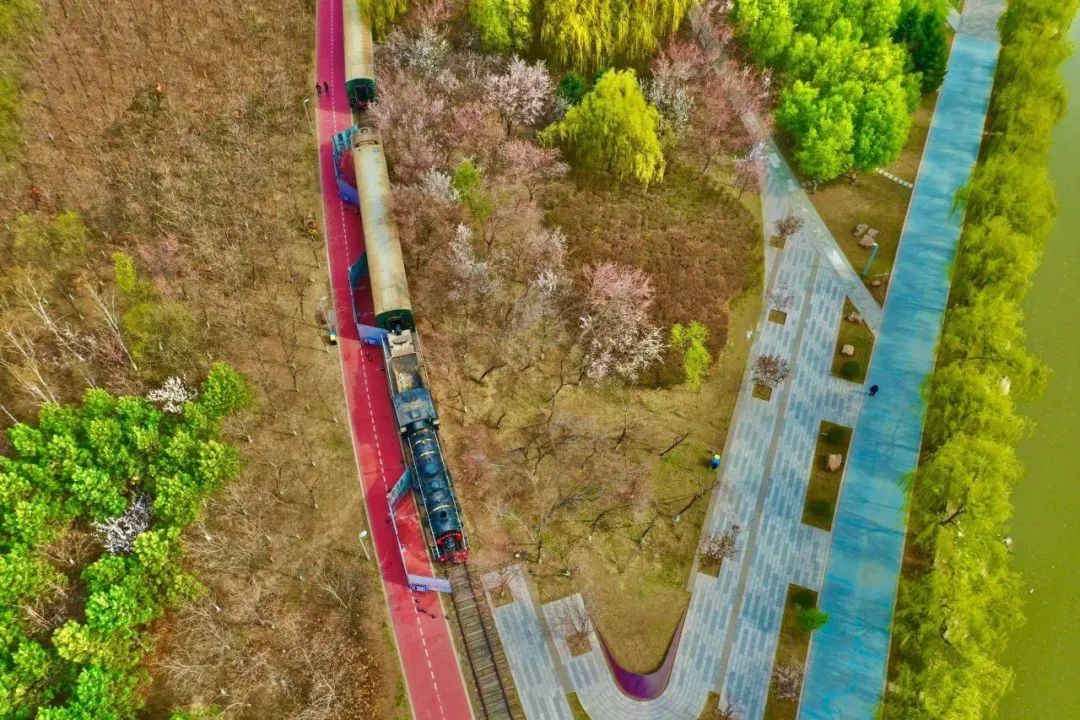 citywalk用脚步丈量城市,开启随性自由的citywalk