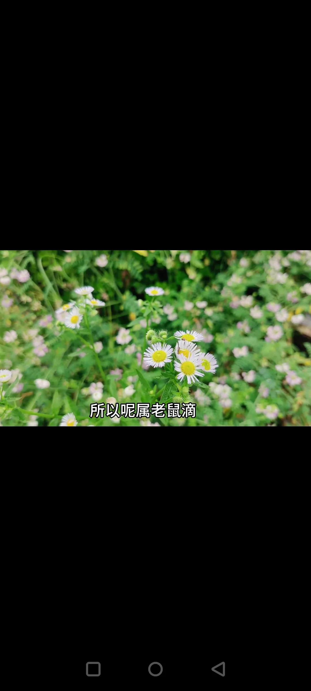 农历四月三十日是晦日下雨会影响农民，你怎么看?