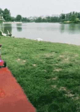 腰肌劳损的搞笑图,搞笑职业病动图