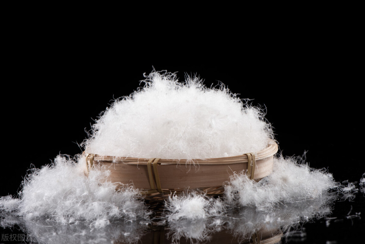 不要1000多的羽绒服,平湖羽绒服价格怎么样