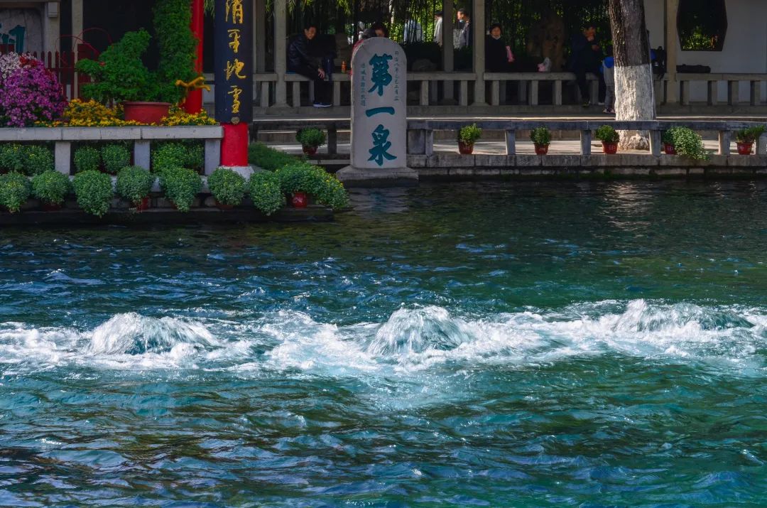 济南名士多网络科技有限公司,济南名士多茶业