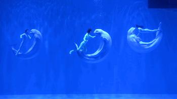 母亲节蜜雪冰城送什么,哈尔滨母亲节推荐好地方