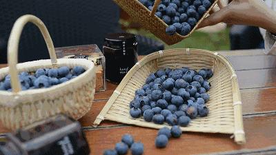 缤纷水果季即将开始！来建宁释放夏日多巴胺