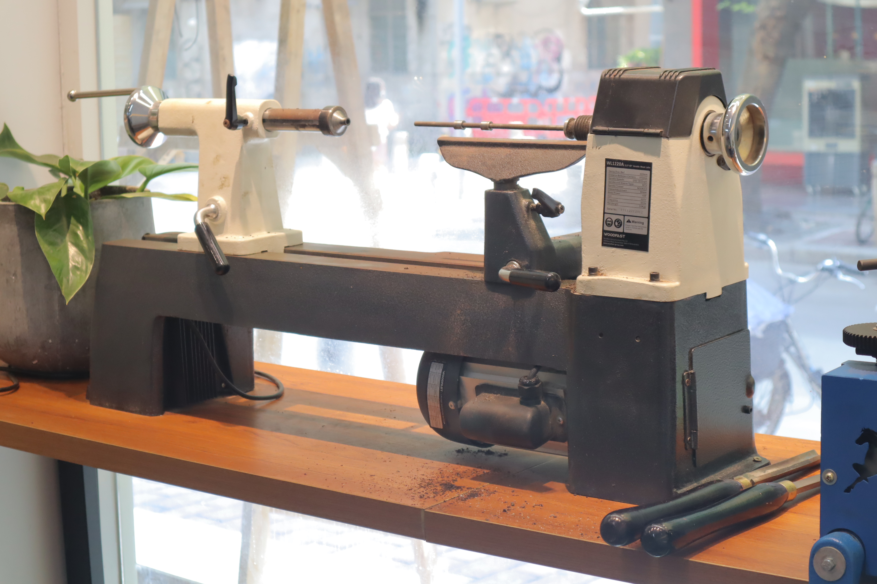 因木而乐，享受静谧