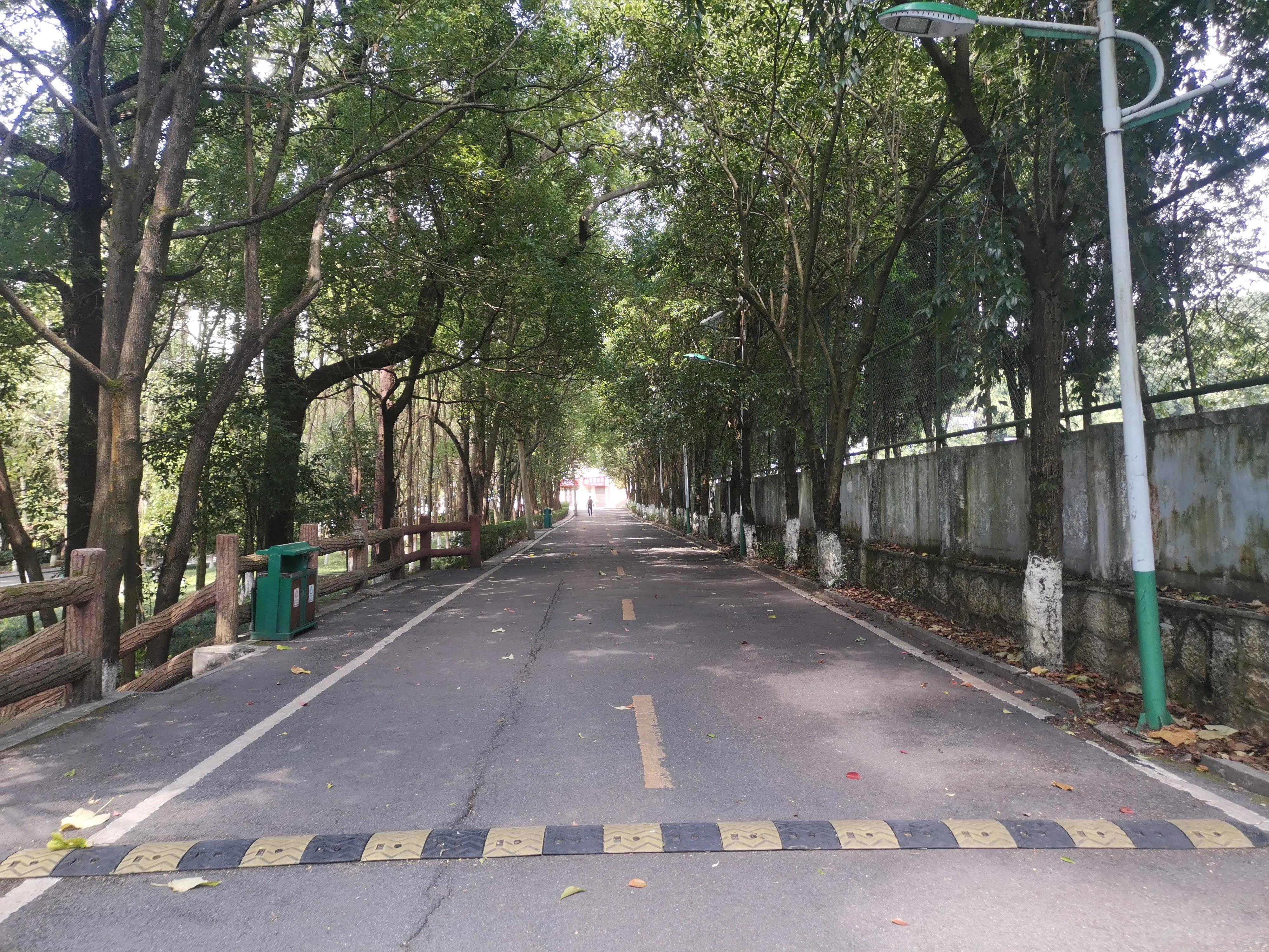 贵州民族大学独有的风景,贵州民族大学游