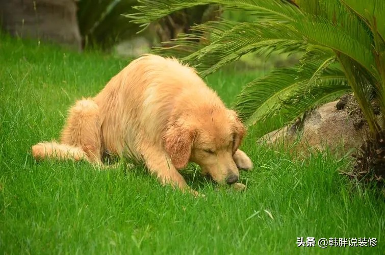 买过房子要注意什么,买房攻略新手必看100个问题