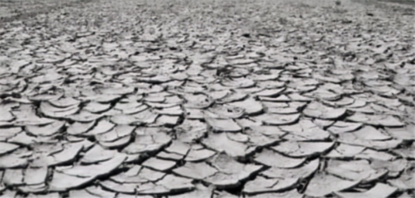 1942河南饥荒真实事件,1942河南饥荒真实历史图片