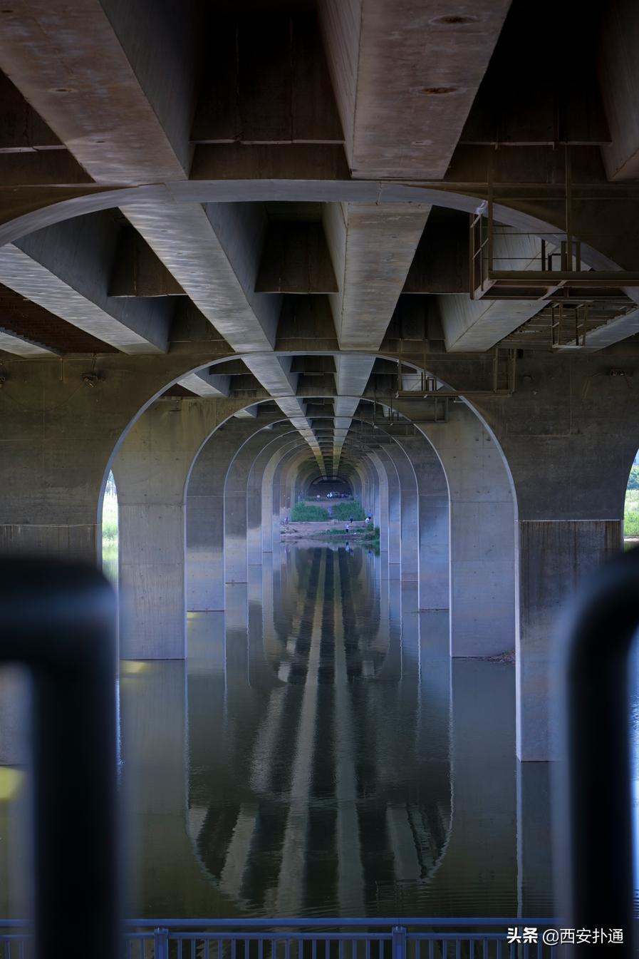 西安最大花海公园,西安周边的自然景观公园