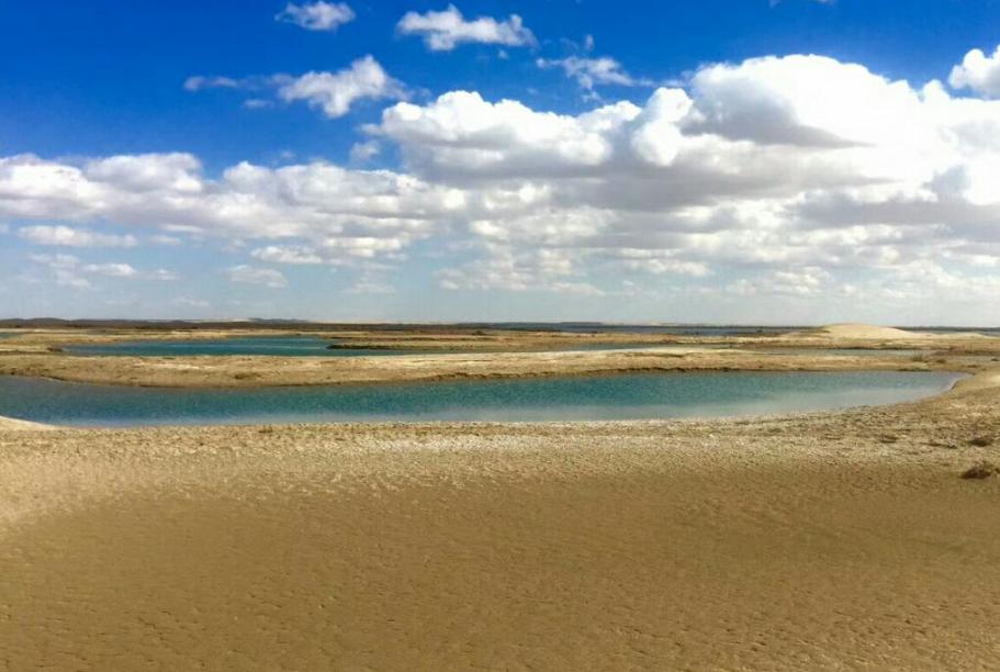 额济纳胡杨林沙漠王国,初夏的内蒙古额济纳大漠胡杨