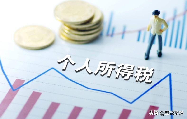 2022年个体工商户个人所得税,app个人所得税申报2022年