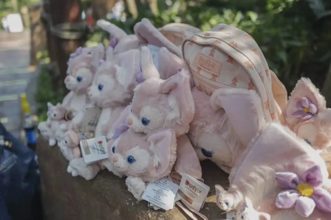 迪士尼乐园5000人凌晨三点排队,迪士尼5000人夜排