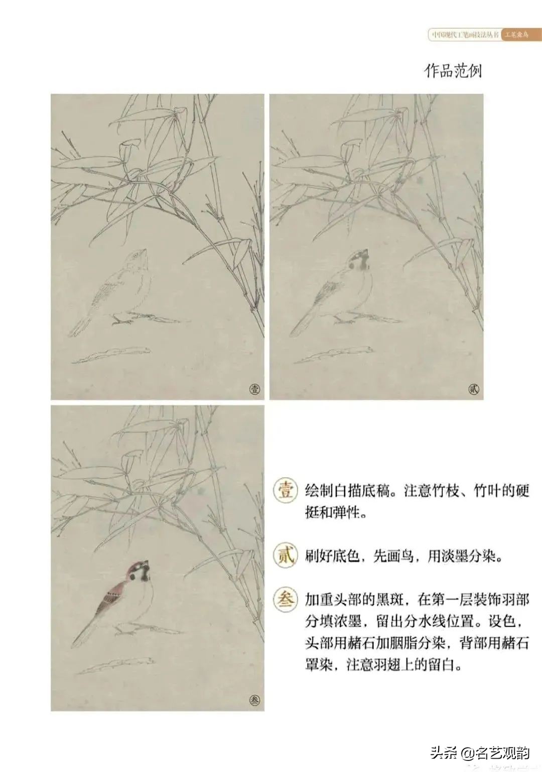 国画禽鸟写意教学视频,工笔禽鸟圆扇图片大全