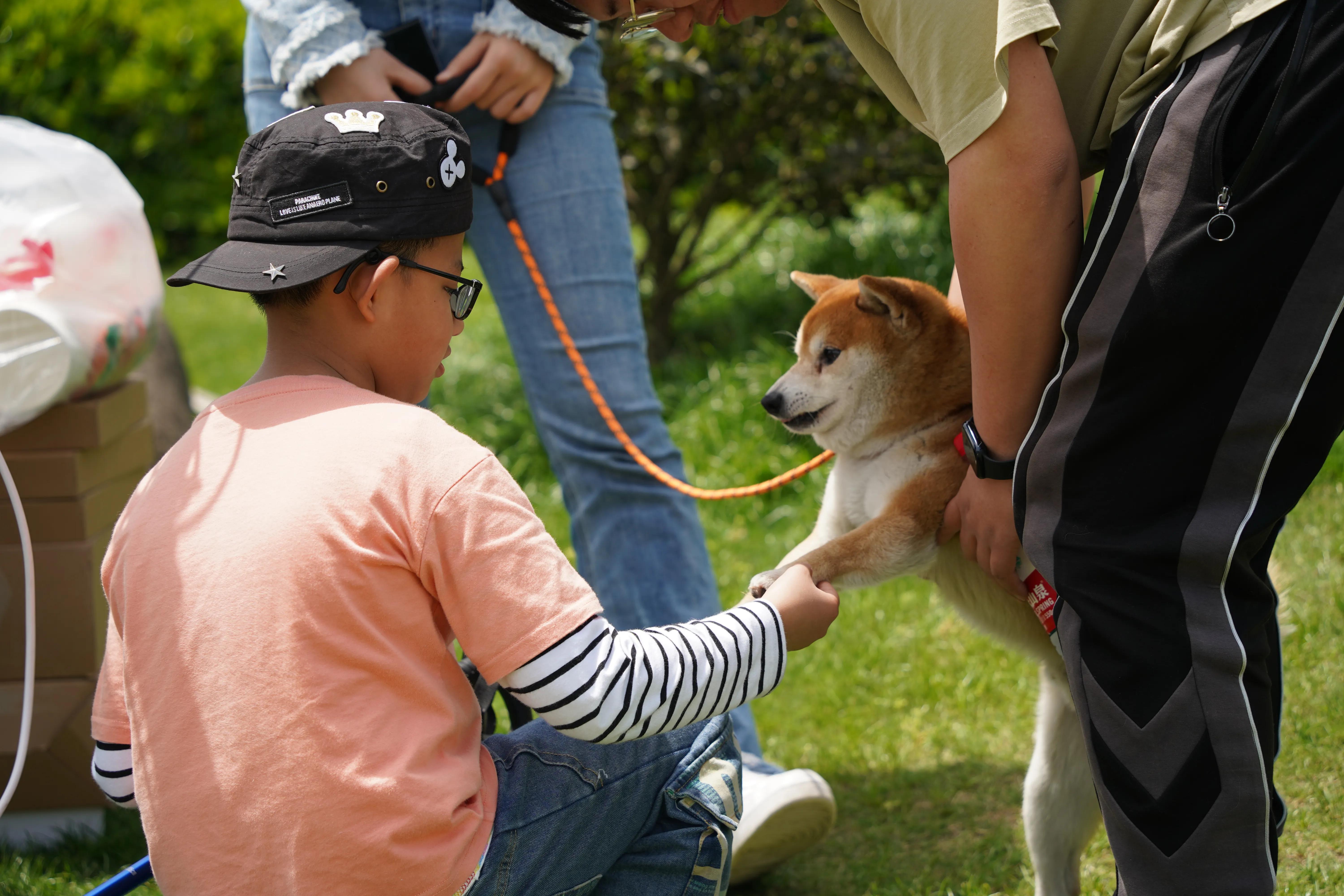 杭迪会·超级奶爸训练营——带娃出去春游啦