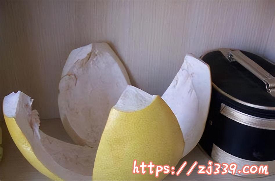 房间里有异味怎么办,去异味房间好物推荐