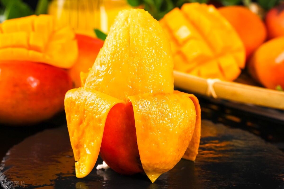 海南当地芒果批发价,海南省三亚市芒果价格今日行情