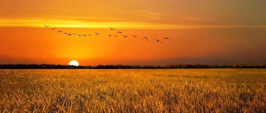 心若向阳何惧远方文案,心若向阳何惧风雨歌名