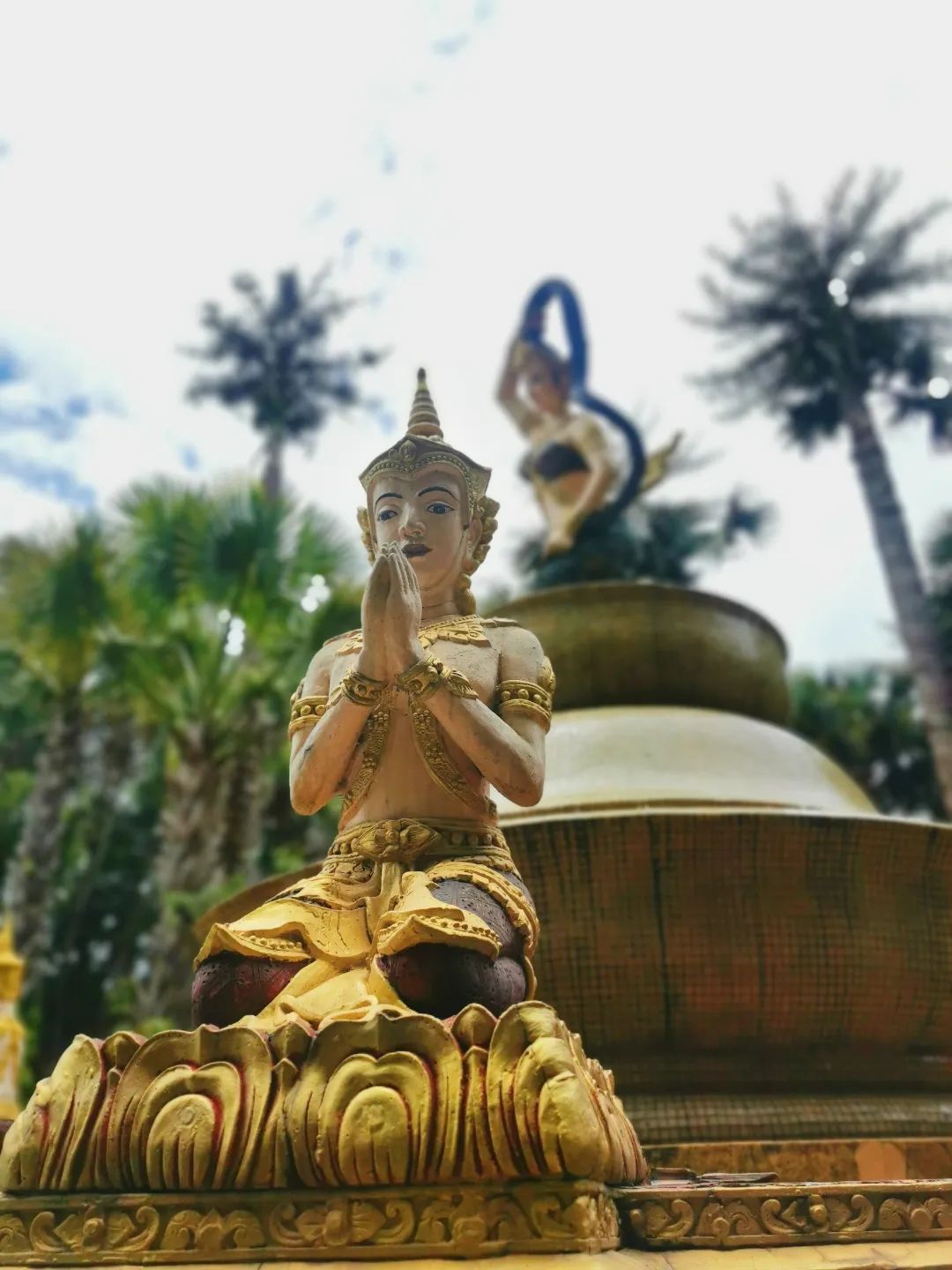 西双版纳七天六夜攻略,西双版纳五天六夜之旅完美结束