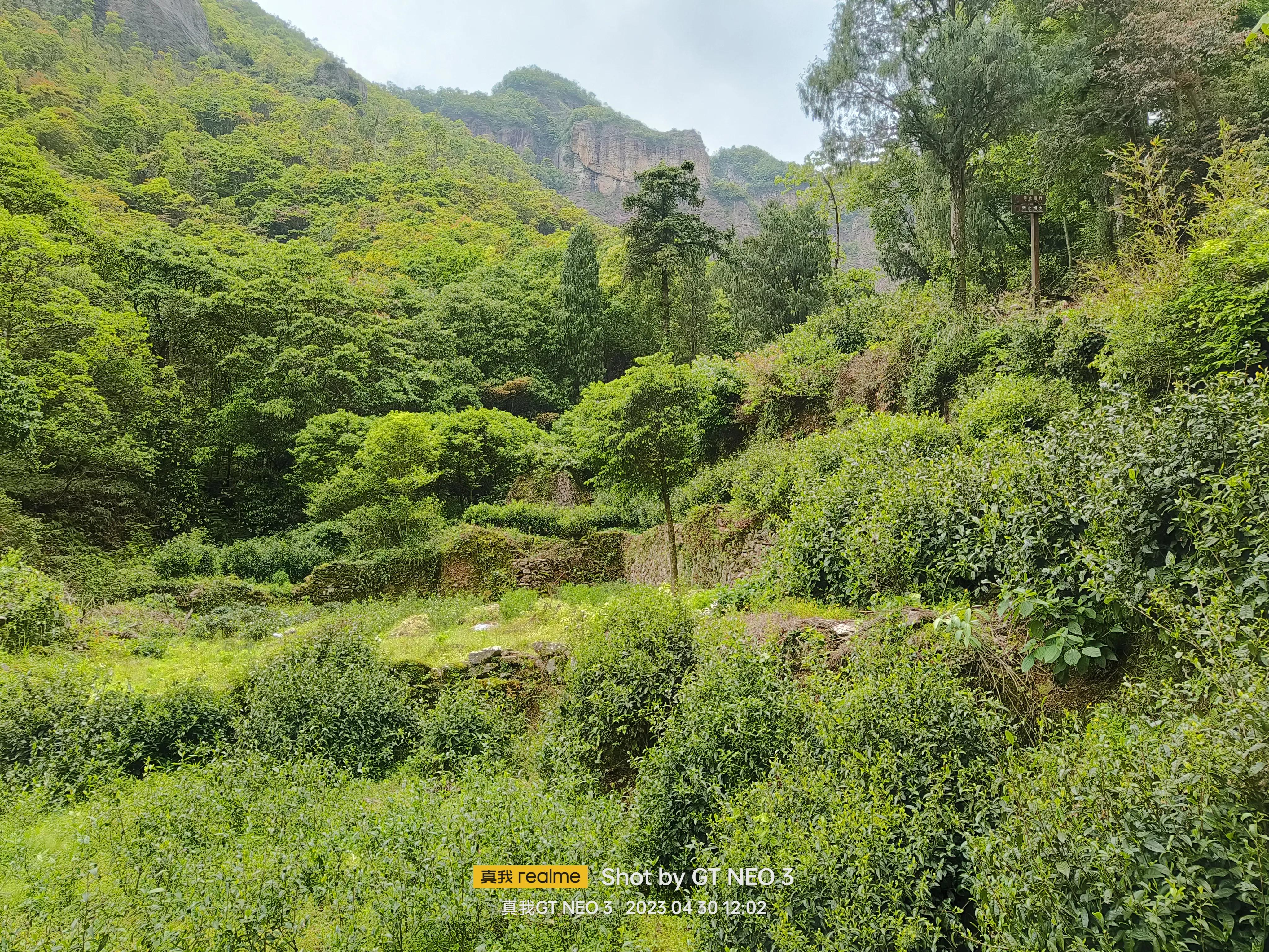 雁荡旅游日,雁荡二日游亲子