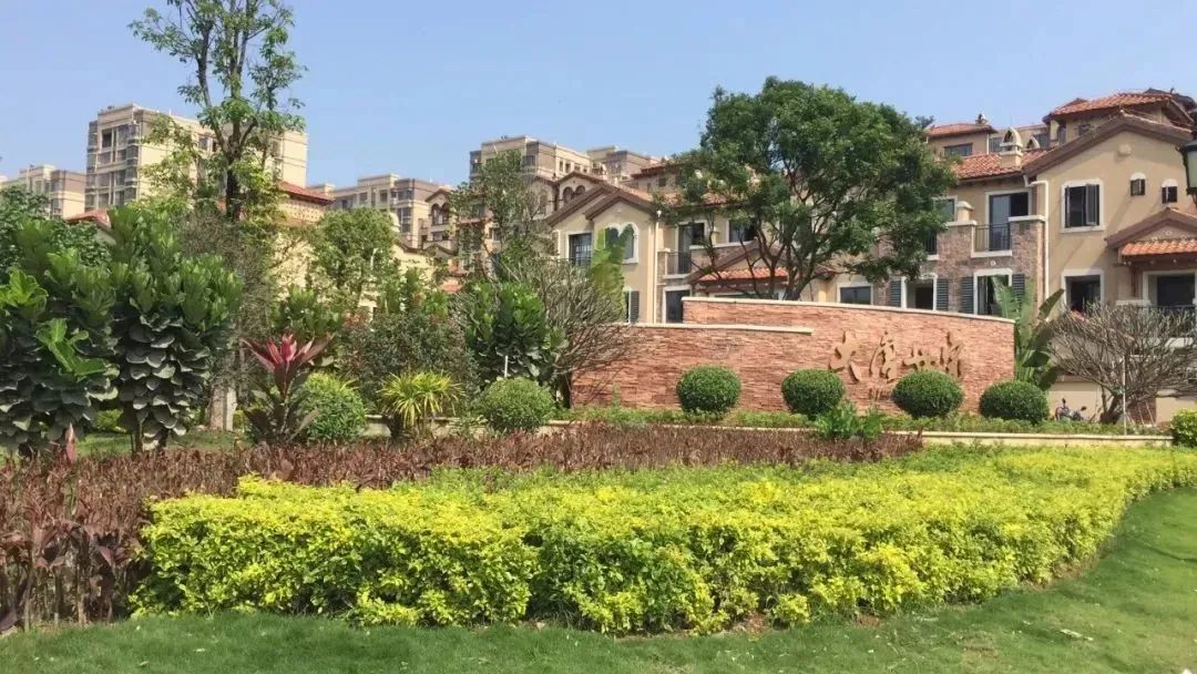 要上天？叫价7万/㎡！漳州各区最贵的房子都在哪？