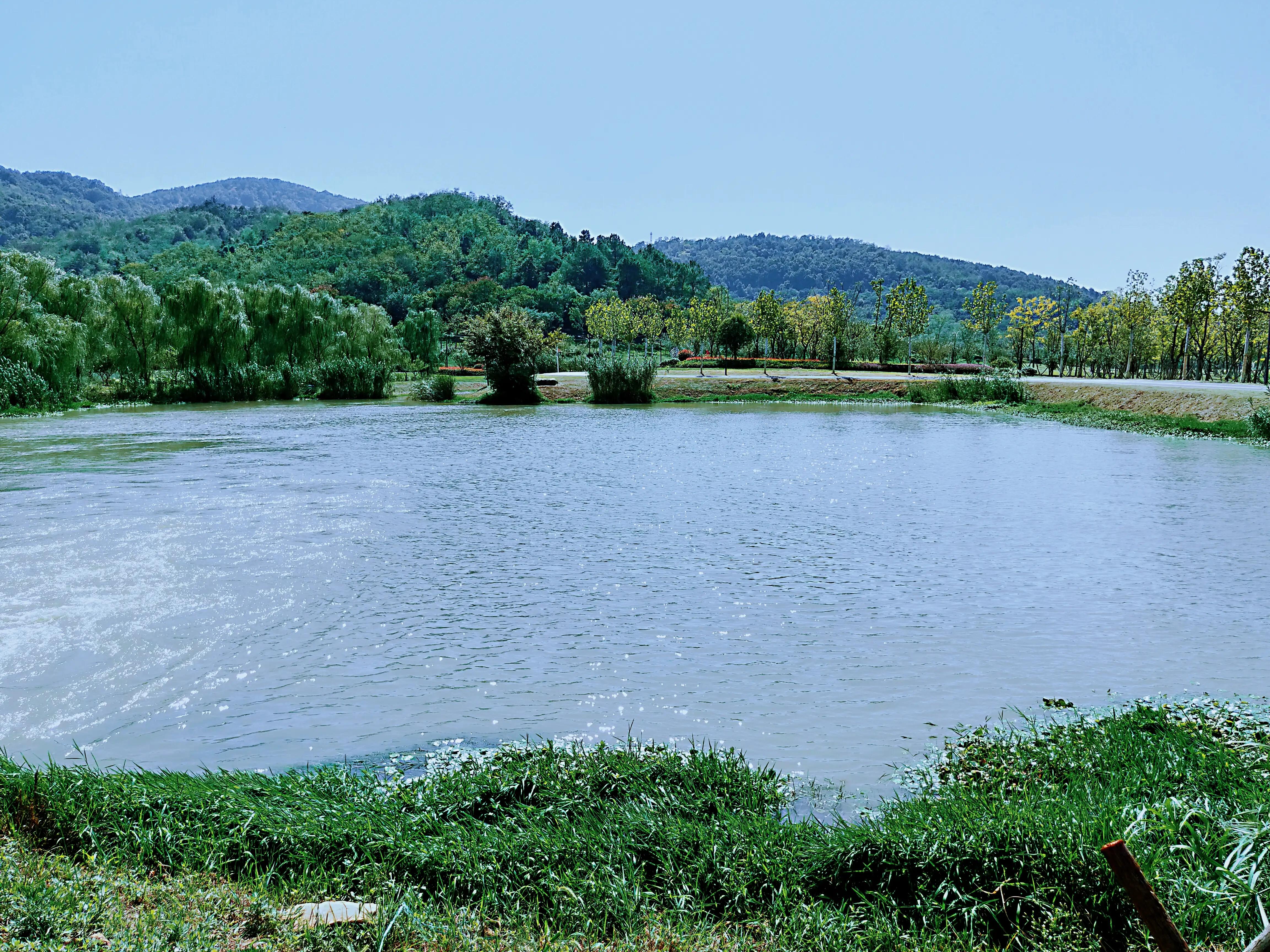 溧水无想山民宿预订,南京溧水无想山露营地点