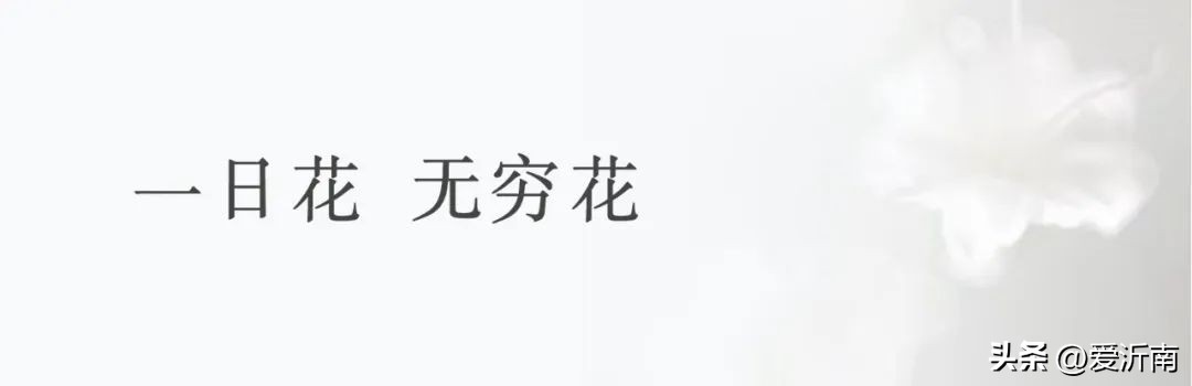 鏈ㄦЭ鏌旂殑灏忚,鏌旂矇绾㈠績閲嶇摚鏈ㄦЭ淇壀