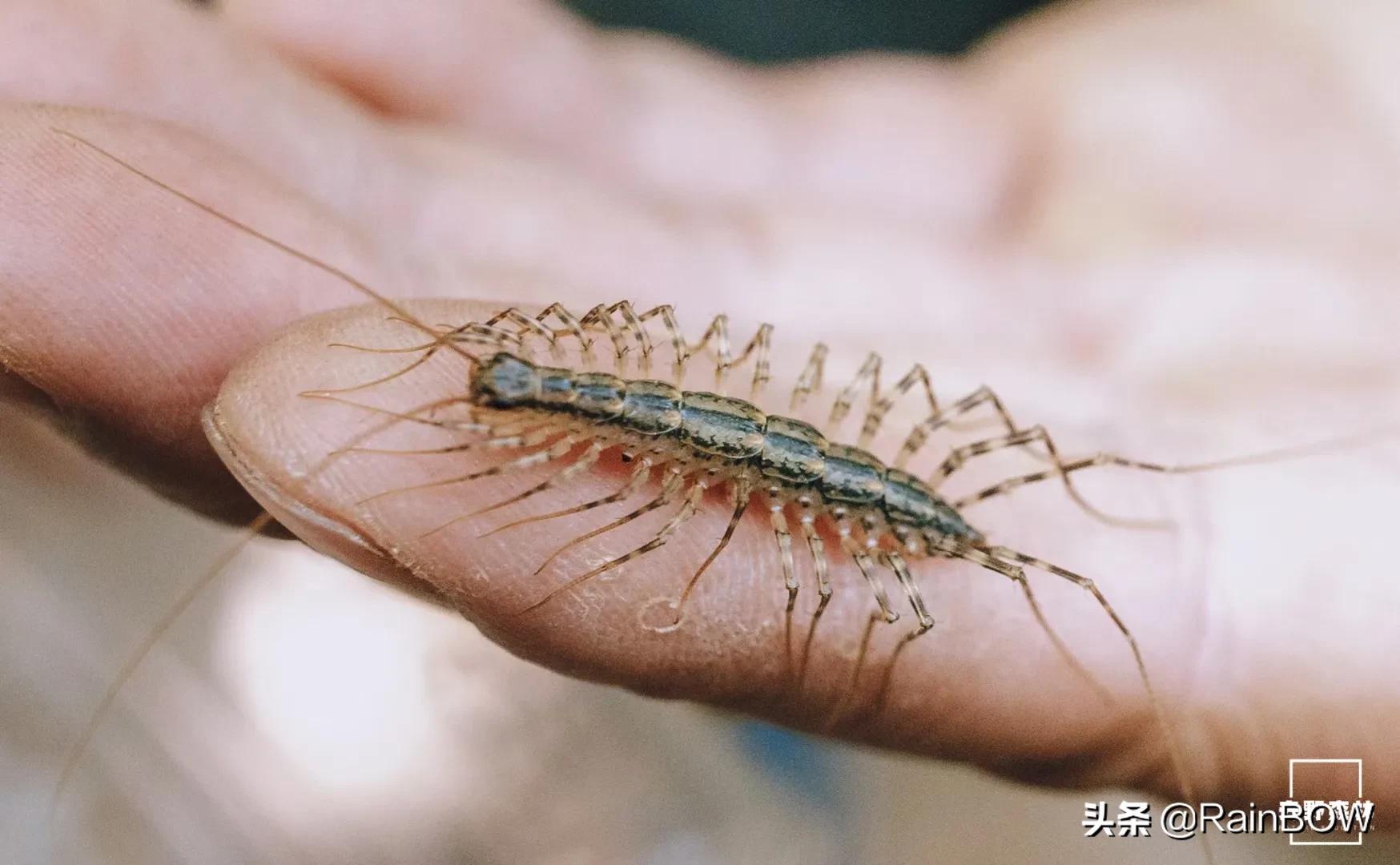 大自然中的小生命,大自然新生命的诞生