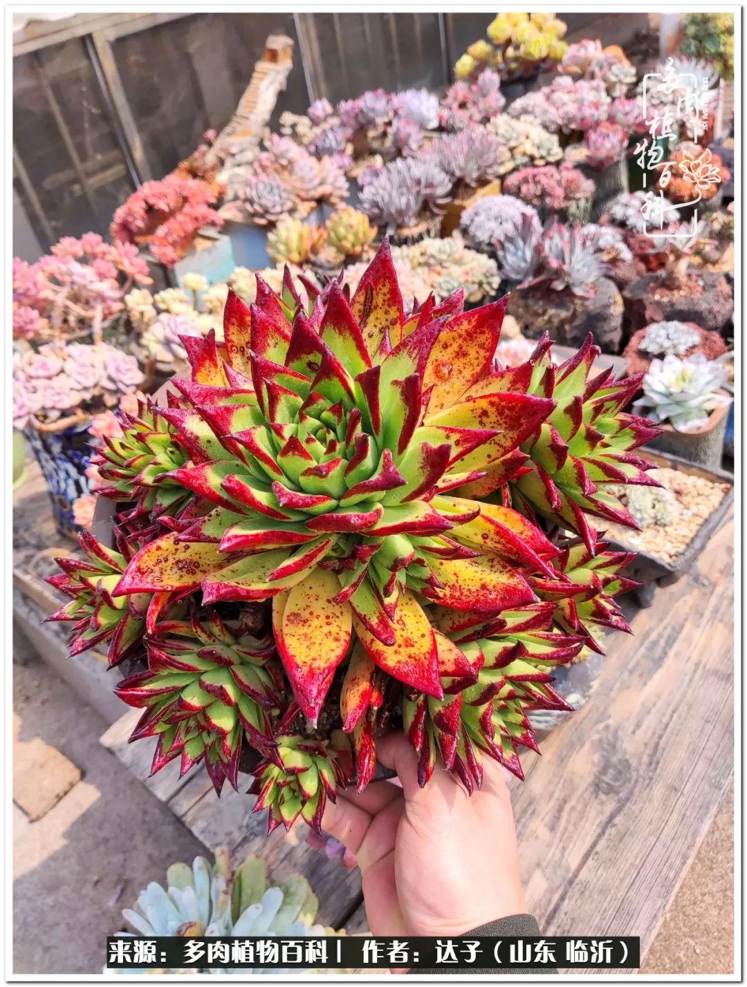 活在当下珍惜眼前平凡的生活,活在当下感慨万千