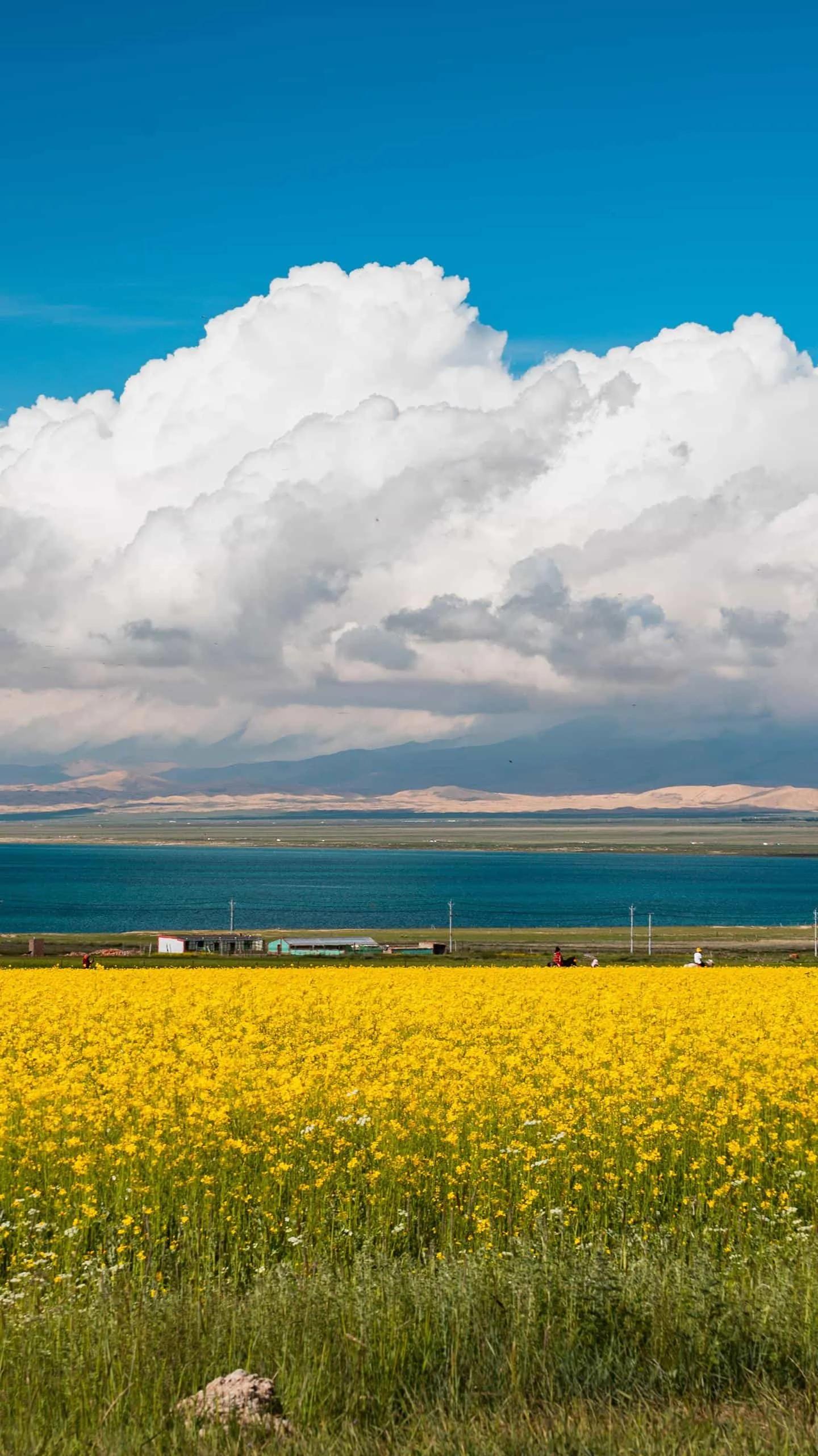 美词美句可复制,美词美句摘抄大全