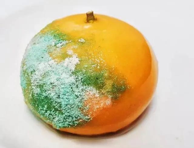 晚安谐音梗小故事,网络最新的谐音梗