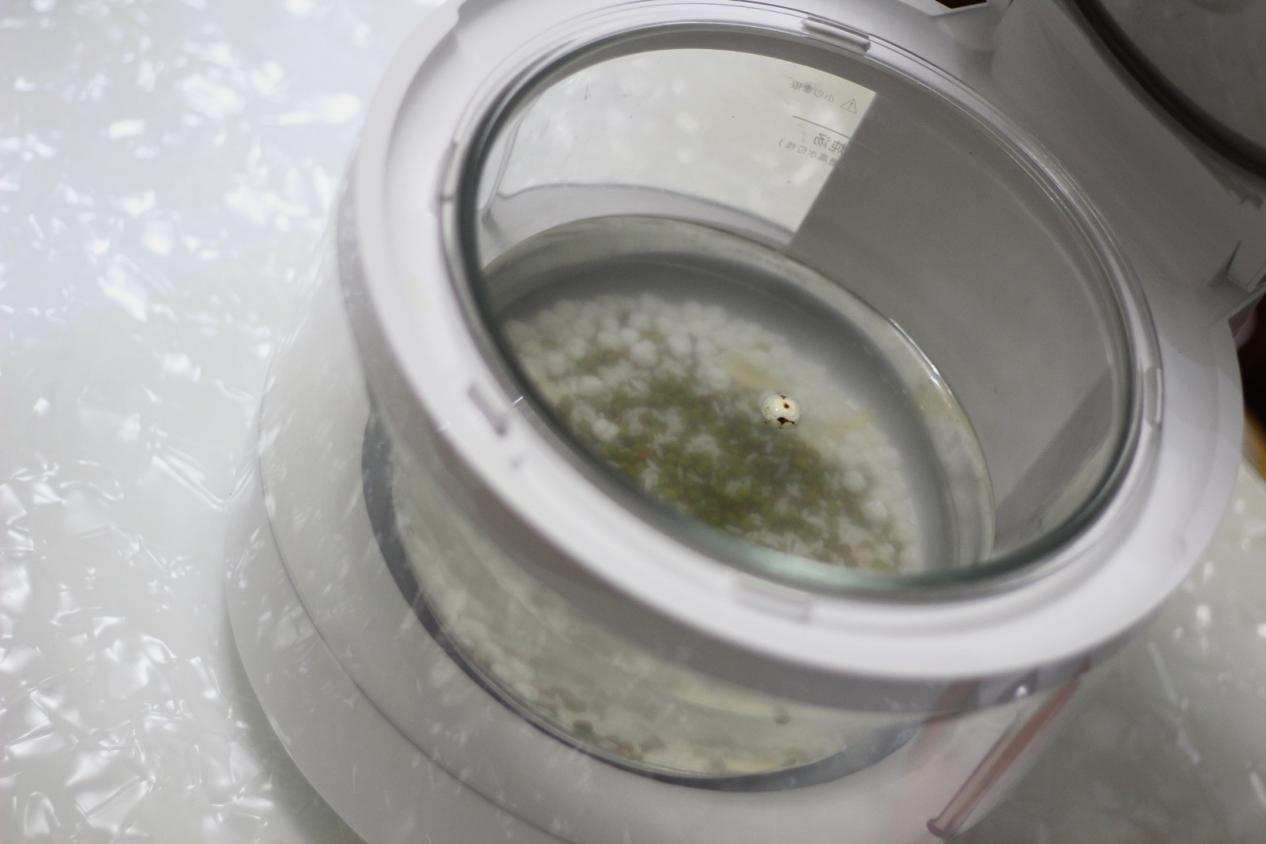 高颜值电饭煲米汤分离小巧型,米汤分离透明电饭煲