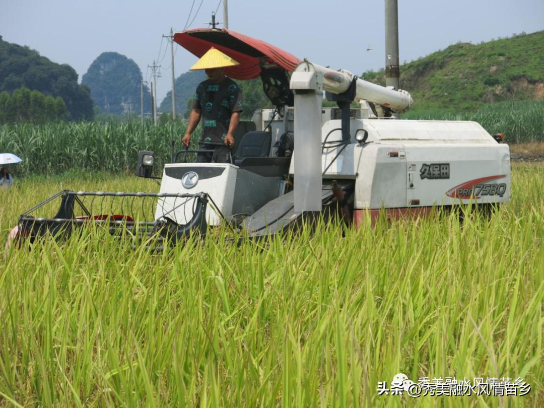 2022年乡镇工作亮点,2022年乡镇工作亮点和特色汇报