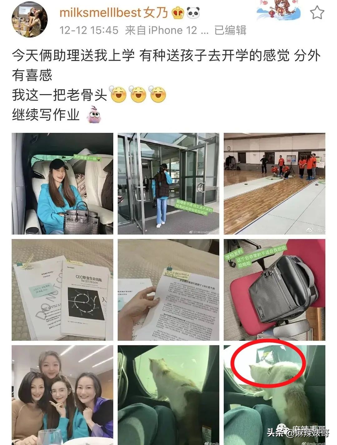 网红张大奕官宣订婚对象是谁,跟张大奕找对象的是谁