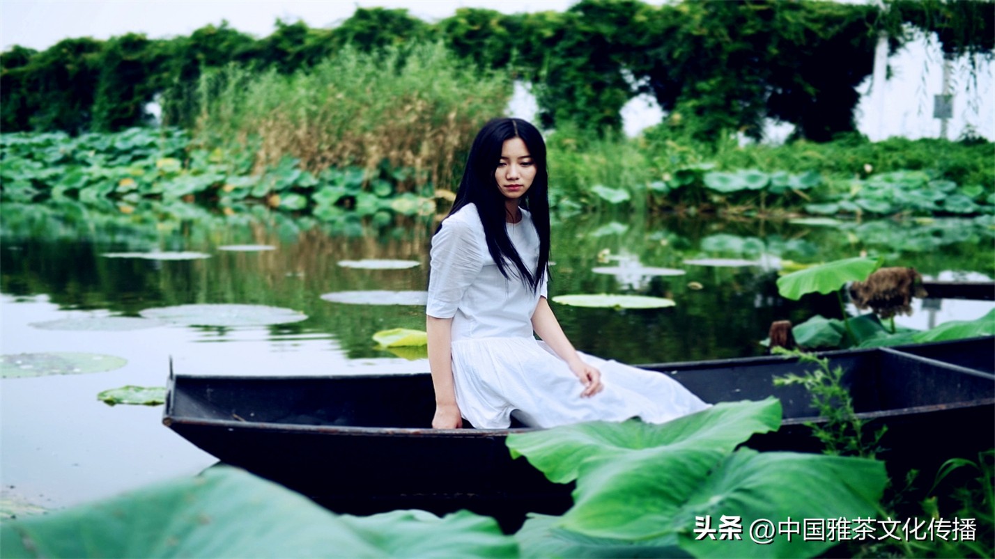 阡陌红尘岁月荏苒,阡陌红尘经典语录